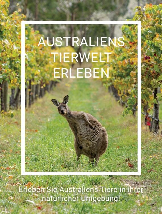 titel-reisemagazin-TA