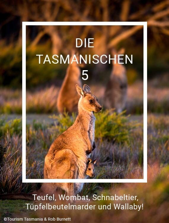 Titel-Reisemagazin-TAS